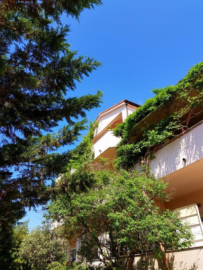Apartaments Victoria 波雷奇 外观 照片